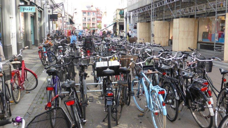 P1010149 - Kopie.JPG